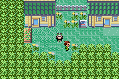 screenshots/Game Boy Advance/Pokemon - Emerald - Ruby - Sapphire/Pokemon Emerald (Eng) 029.png